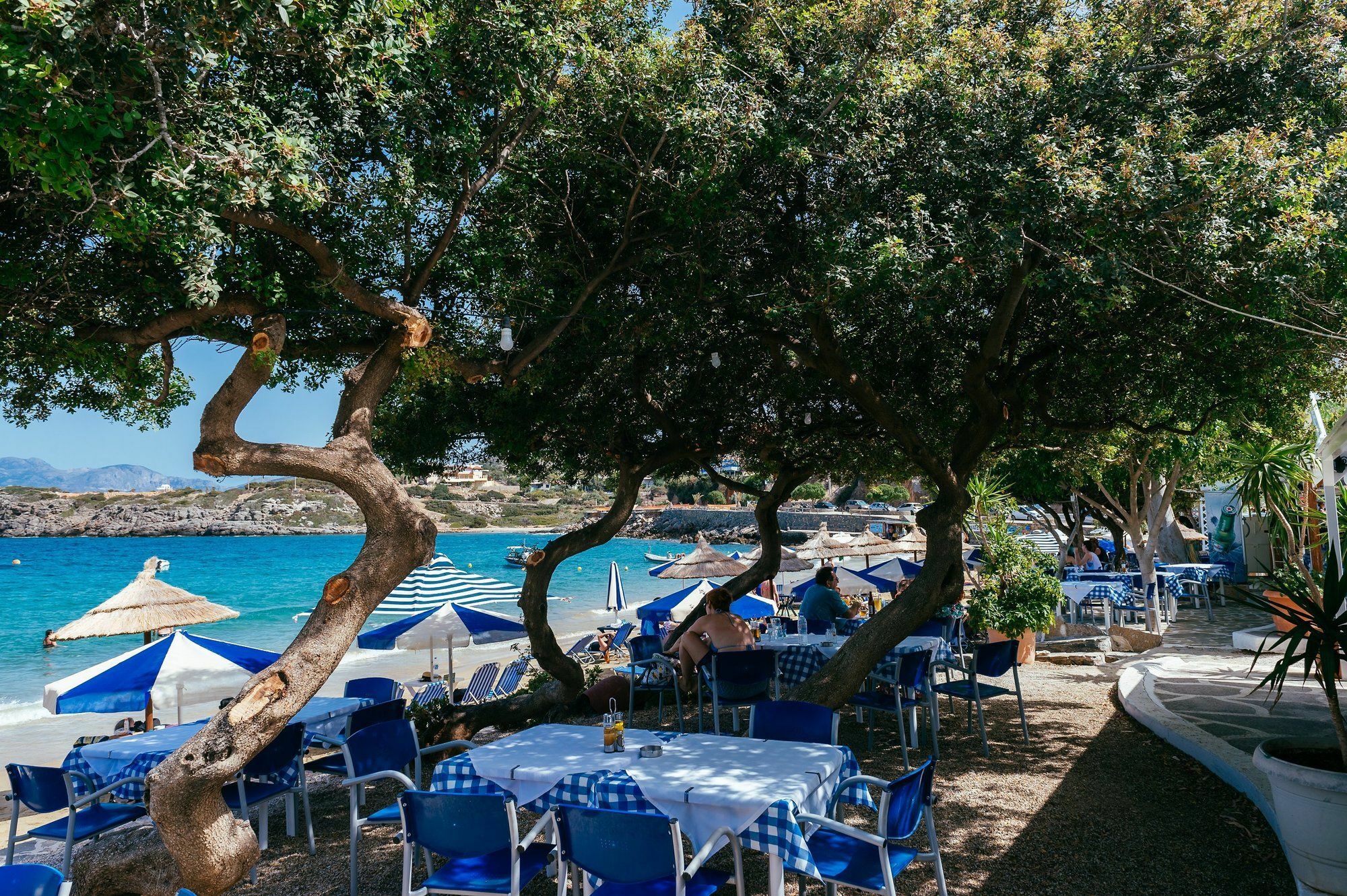 Ammoudara Beach Hotel Apartments Amoudara  Eksteriør bilde